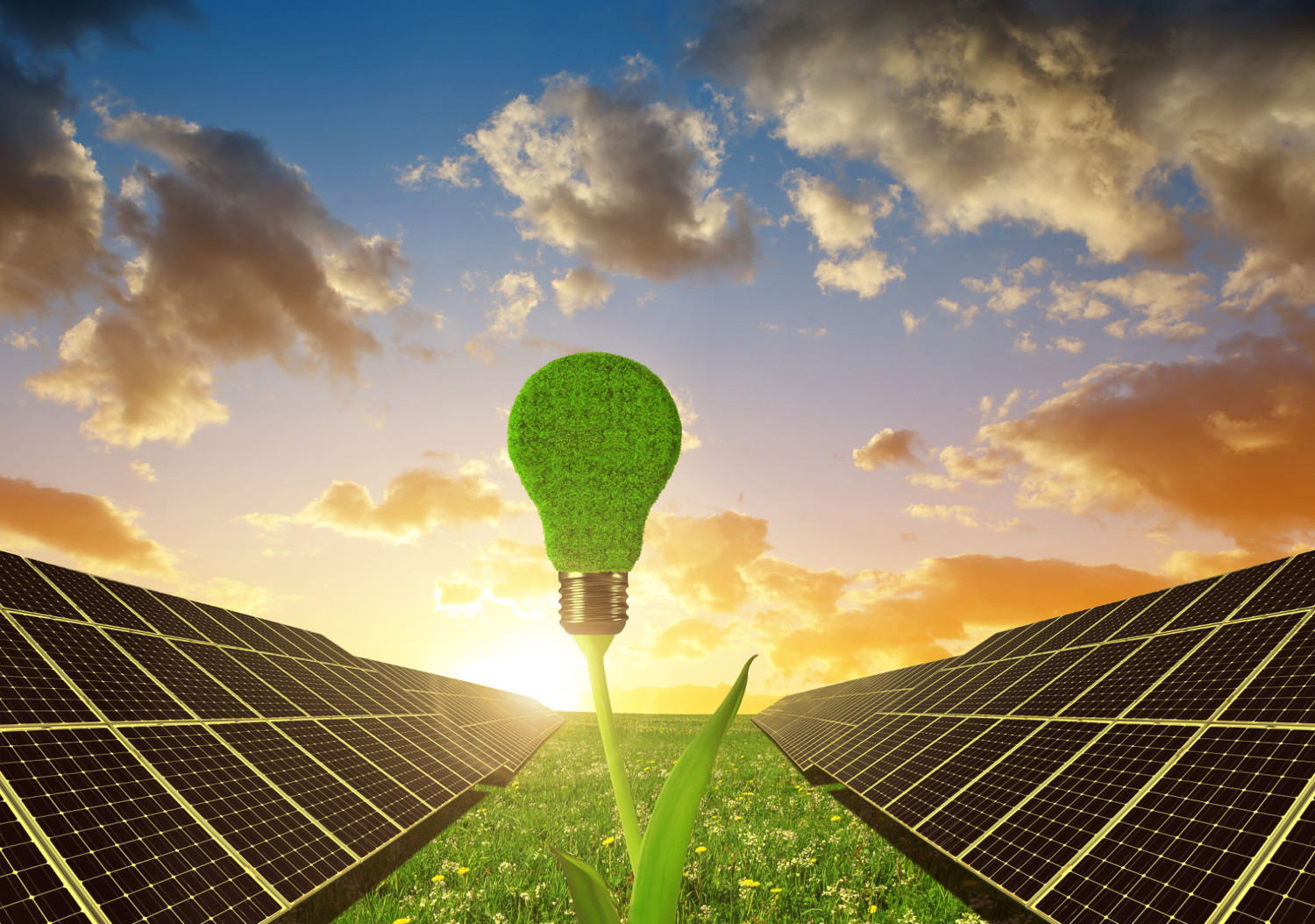 an image of a field of solar panels supplying power to a light bulb via a plant stem