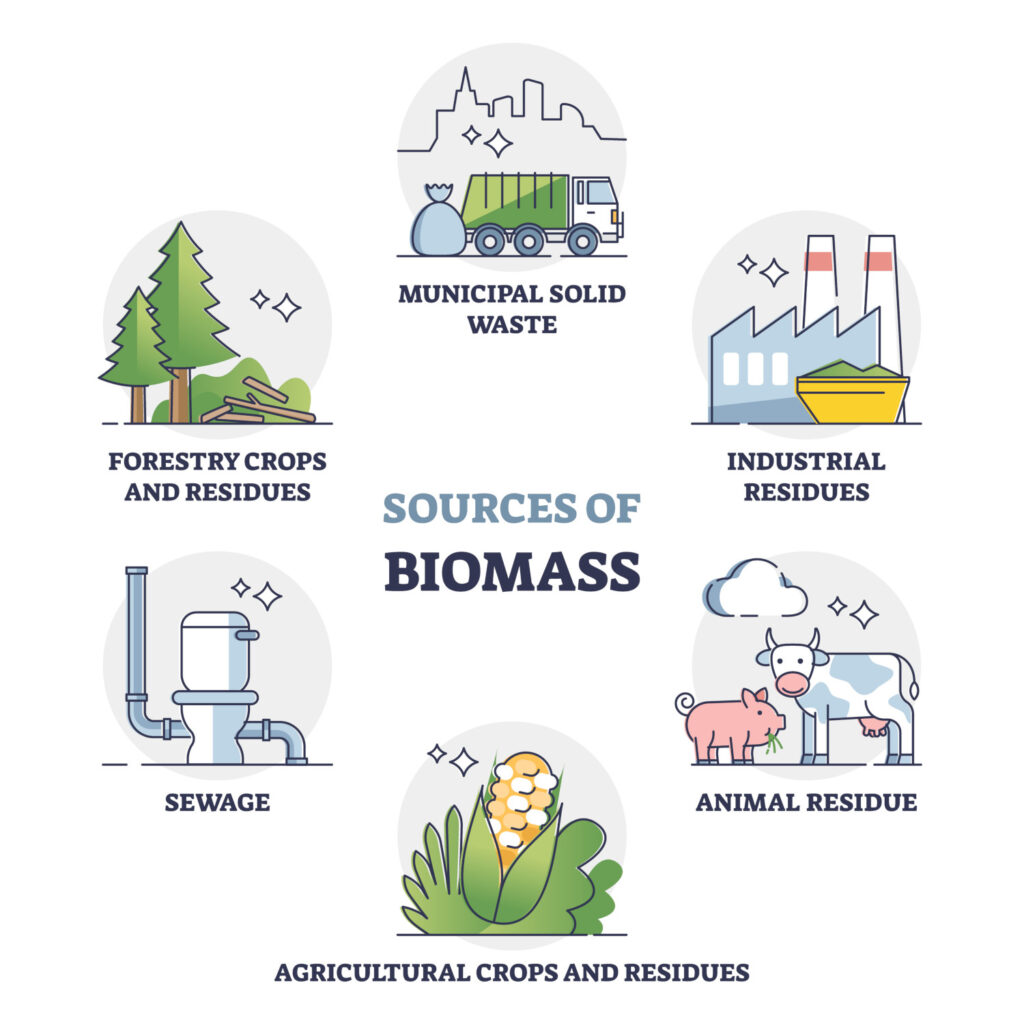 An outline drawing diagram showing different sources of biomass energy