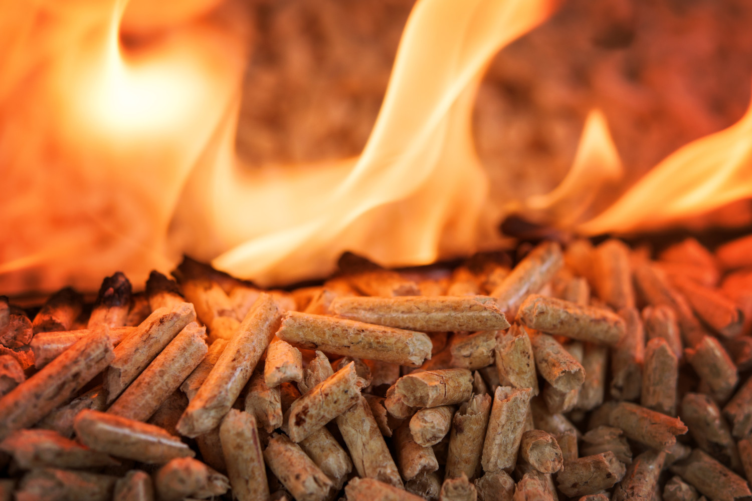 close-up of a pile of wood biomass pellets in flames